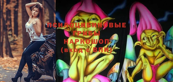 первитин Карпинск