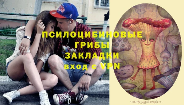 синтетический гашиш Касимов
