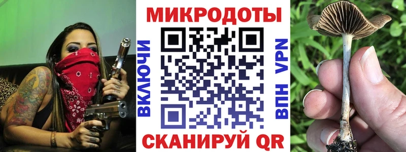 Купить где  Полярный  Галлюциногенные грибы мицелий 