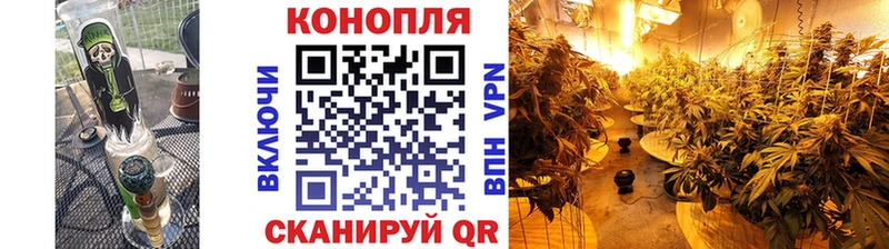 Купить  Полярный  Бошки марихуана ГИДРОПОН 